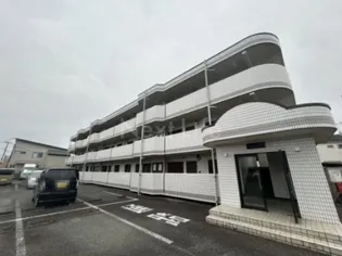サリール立野の画像