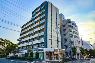 ペドラ リオ IIIの画像