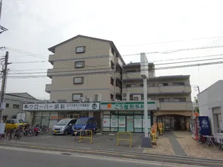 クレール白鳩の画像