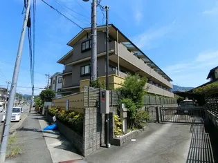 ウィステリア壱番館【1階】の外観