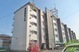 第一及川ハイツの画像