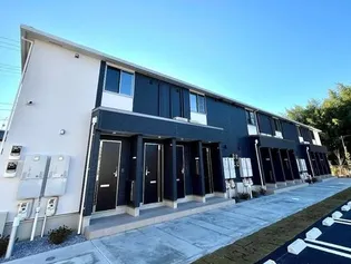 GREEN SORREL Iの画像