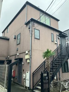 スプルースの画像