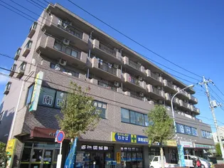 ハイブリッジIIの画像