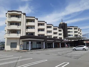 パステルビラ光陽【4階】の外観