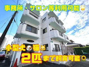 シャインロード帯山【2階】の外観