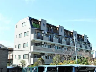 ウィンドワードMAの画像