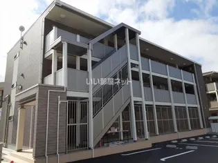 プラシードIの画像