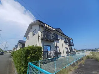 エバーグリーンⅢの画像