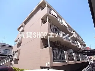 セイルオンの画像