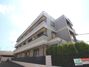 ドービーコートの画像