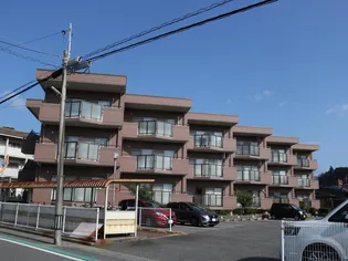 白石プラザの画像