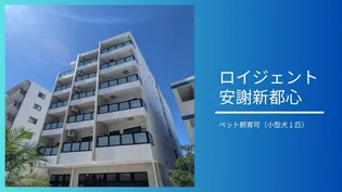 ロイジェント安謝新都心の画像