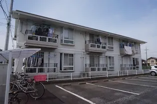 ビバリーヒルズYの画像