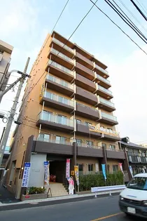 ELVITAの画像