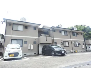 アンブレラトミナガ Dの画像