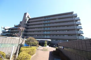 ロイヤルパレス八乙女の画像