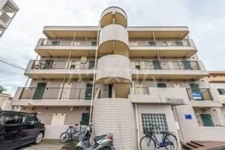 ジュネパレス座間第14の画像