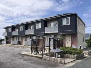 カンフォーレの画像