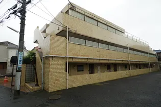 リトルブラウンの画像