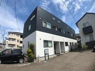 パインコーンの画像