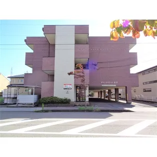 スウィート ドリーム松村の画像