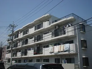 ファミールMOの画像