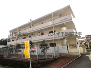 ルネサンス清水の画像