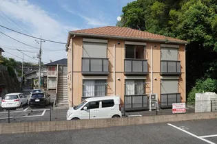 オレンジシャトーBの画像