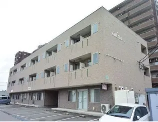 CALMEの画像