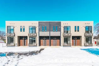 ルトンセランVIIの画像