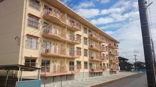 リノ辰巳の画像