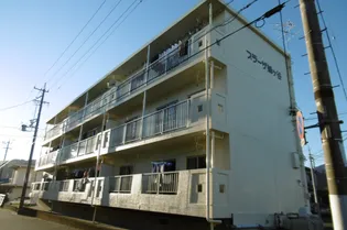 プラザ蜂ヶ谷の画像