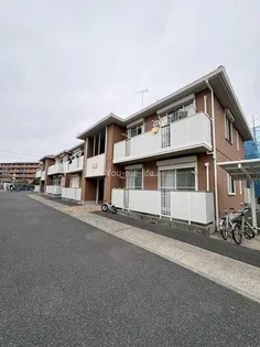 カトレアBの画像