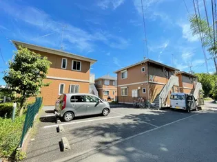 グリシーナBの画像