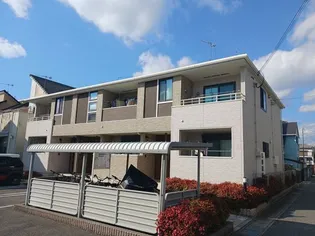 エレガントKの画像