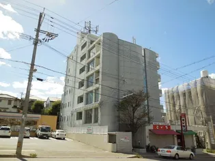 セラーン朝霧の画像