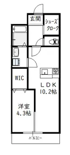 Ko Olina Yanagimaru(コオリナ柳丸)【7階】の間取り