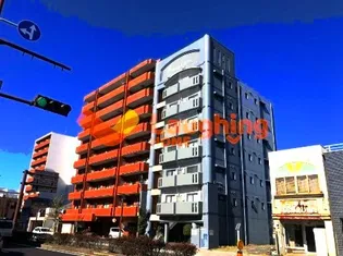 トランプの画像