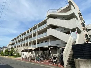 エバーグリーンの画像