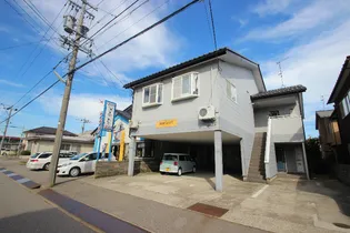 アプリコットの画像