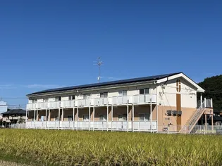 SURPLUS カメヤマ Aの画像