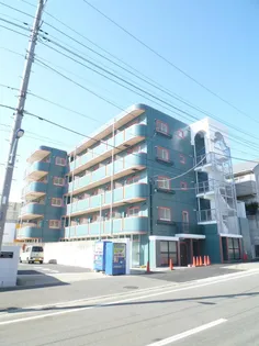 志幸46 PREMIUMの画像