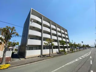 エスティIIIの画像