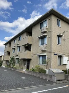 オリーブの画像