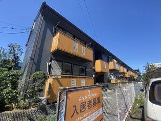 ボナールニシオの画像