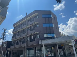 ホーレットIIの画像