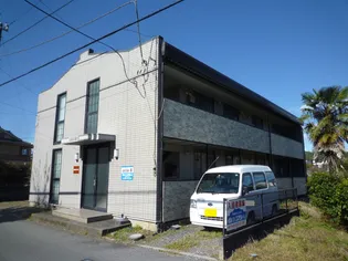 ブルック Wの画像