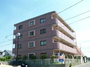 愛知県知多郡阿久比町大字卯坂字坂部【マンション】の外観