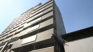 グラシアス中島の画像